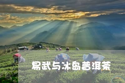 易武与冰岛普洱茶/2023031726958