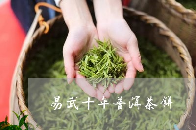 易武十年普洱茶饼/2023033085261