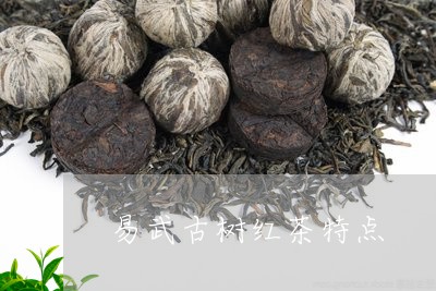 易武古树红茶特点/2023031895248