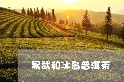 易武和冰岛普洱茶/2023041324137