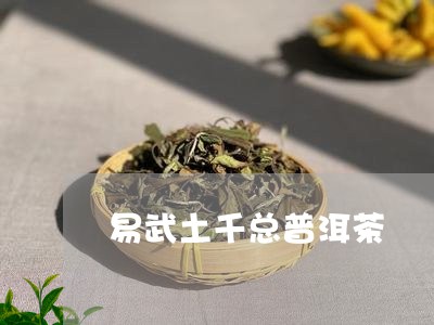 易武土千总普洱茶/2023033137470