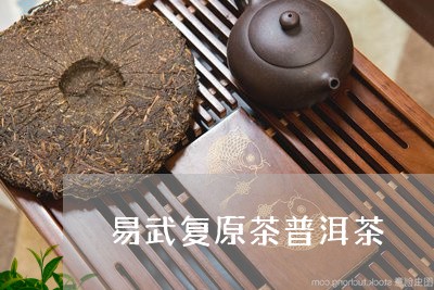 易武复原茶普洱茶/2023041122703