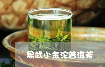 易武小金沱普洱茶/2023040110593