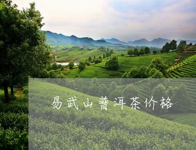 易武山普洱茶价格/2023031818359