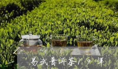 易武普洱茶19年/2023031878370