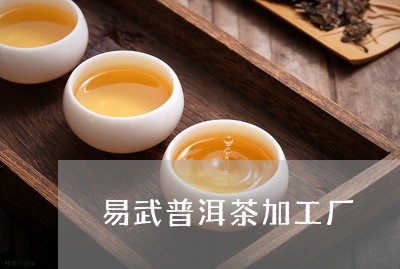 易武普洱茶加工厂/2023033159383