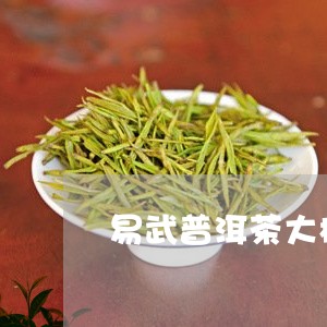 易武普洱茶大树茶/2023041104737