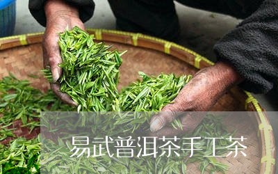 易武普洱茶手工茶/2023041134259