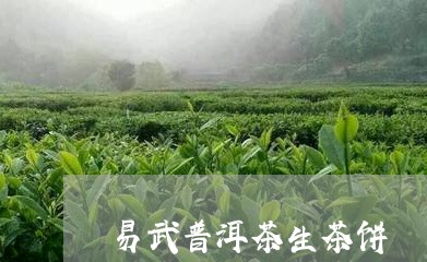 易武普洱茶生茶饼/2023041326157