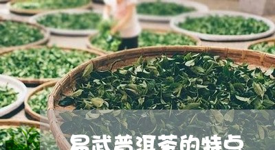 易武普洱茶的特点/2023041456260