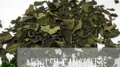 易武望天树普洱茶/2023033169482