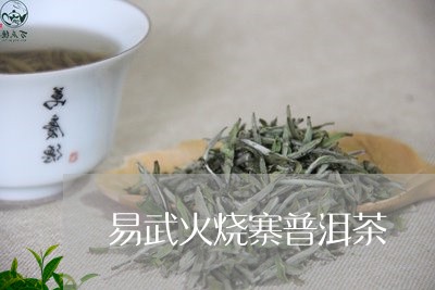 易武火烧寨普洱茶/2023031712693