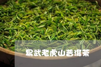 易武老虎山普洱茶/2023031662504