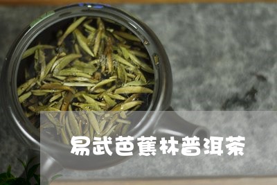 易武芭蕉林普洱茶/2023040196250