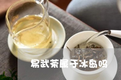 易武茶属于冰岛吗/2023032889615