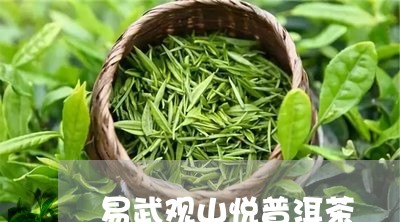 易武观山悦普洱茶/2023033197738