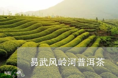 易武风岭河普洱茶/2023033126341