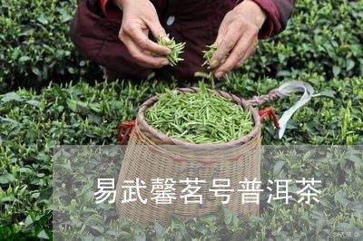 易武馨茗号普洱茶/2023033116150