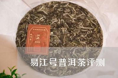 易江号普洱茶评测/2023041379391