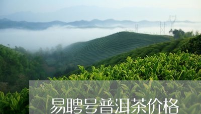 易聘号普洱茶价格/2023041272927