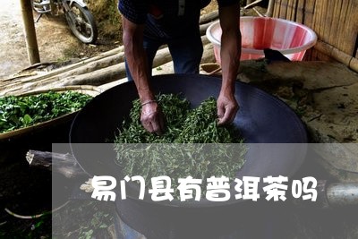 易门县有普洱茶吗/2023033016250