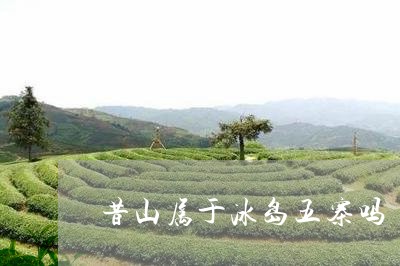 昔山属于冰岛五寨吗/2023041515948