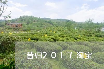 昔归2017淘宝/2023032370724