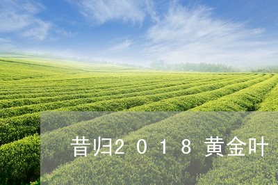 昔归2018黄金叶/2023041447594