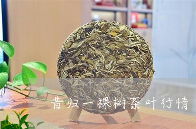 昔归一棵树茶叶行情/2023041554616