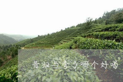 昔归与弯弓哪个好喝/2023041471715