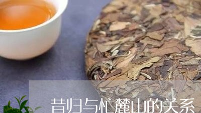 昔归与忙麓山的关系/2023031917504