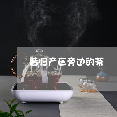 昔归产区旁边的茶/2023032616169