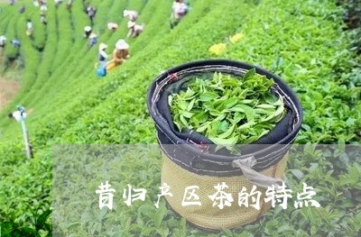 昔归产区茶的特点/2023032630692