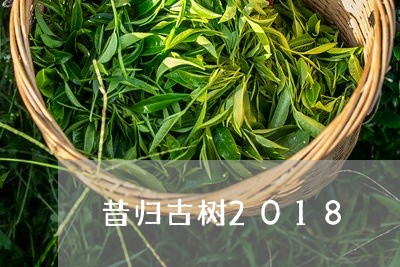 昔归古树2018/2023032336358