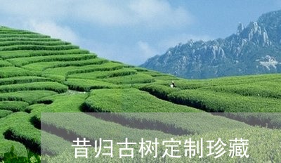 昔归古树定制珍藏/2023032348281