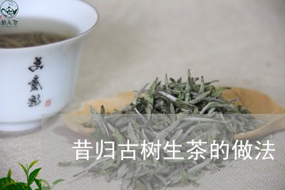 昔归古树生茶的做法/2023032255595