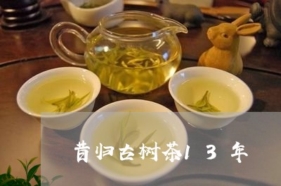 昔归古树茶13年/2023032537470