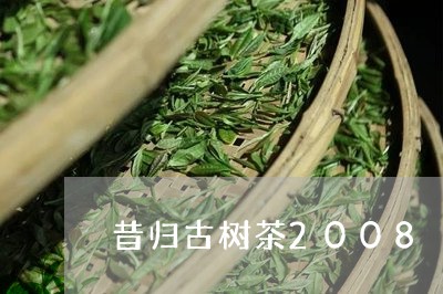 昔归古树茶2008/2023032244157