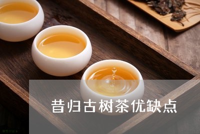 昔归古树茶优缺点/2023032582707