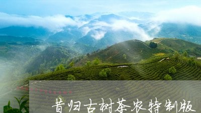 昔归古树茶农特制版/2023031937382