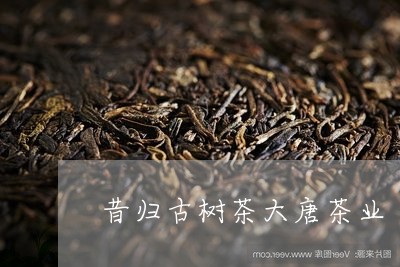 昔归古树茶大唐茶业/2023032220714