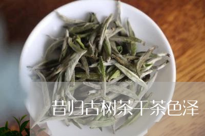 昔归古树茶干茶色泽/2023032241037