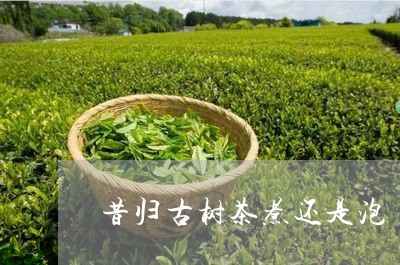 昔归古树茶煮还是泡/2023032236279