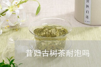 昔归古树茶耐泡吗/2023032592725