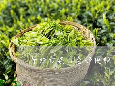 昔归古茶山全部视频/2023041409582