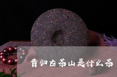 昔归古茶山是什么茶/2023032296139