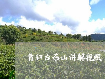 昔归古茶山讲解视频/2023041488260