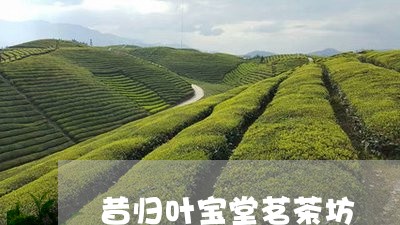 昔归叶宝堂茗茶坊/2023032335937