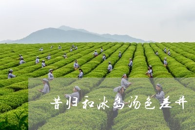 昔归和冰岛汤色差异/2023041489826