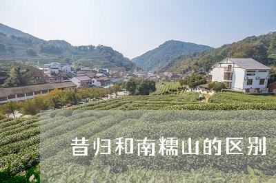 昔归和南糯山的区别/2023031891025